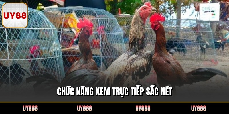 Chức năng xem trực tiếp sắc nét