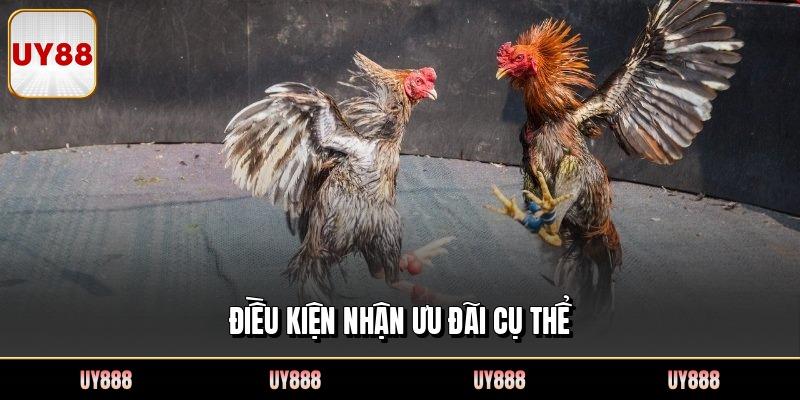 Điều kiện nhận ưu đãi cụ thể