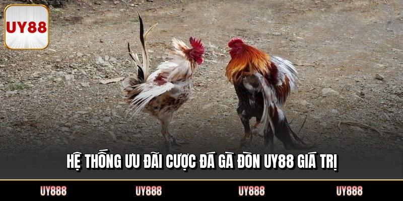 Hệ thống ưu đãi cược đá gà đòn UY88 giá trị