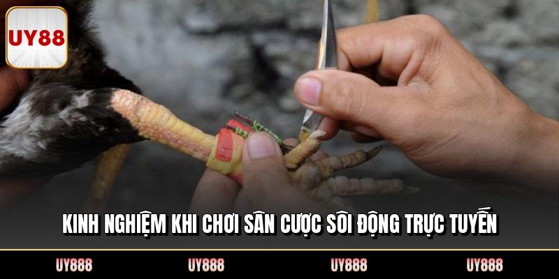Kinh nghiệm khi chơi sân cược sôi động trực tuyến