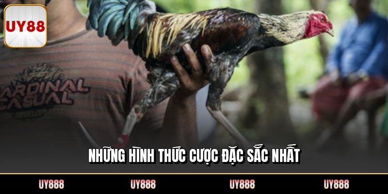 Những hình thức cược đặc sắc nhất