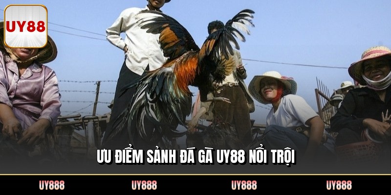 Ưu điểm sảnh đá gà UY88 nổi trội